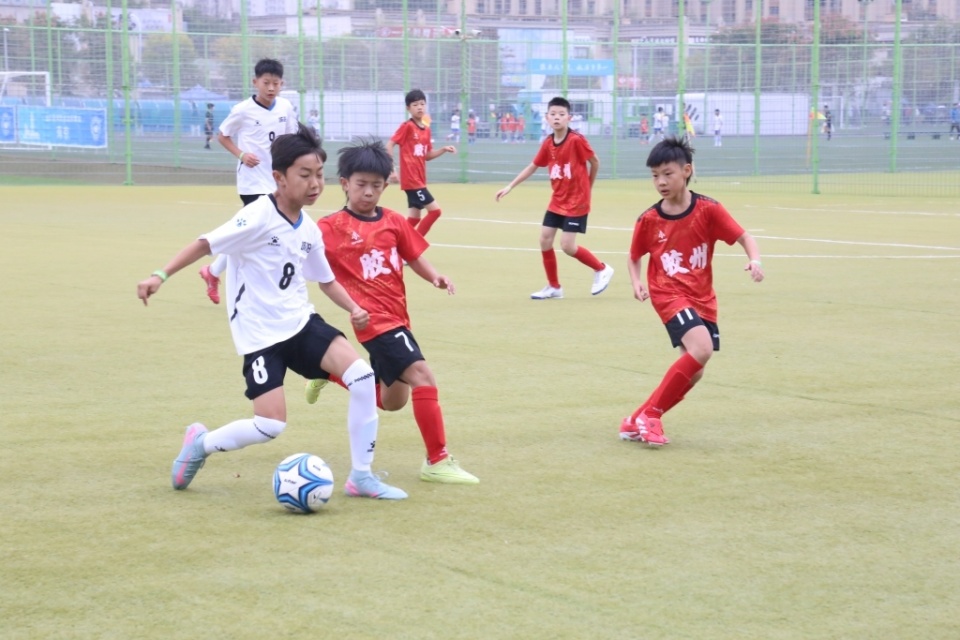 选拔后备人, 中表示 选拔后备人, 中表示